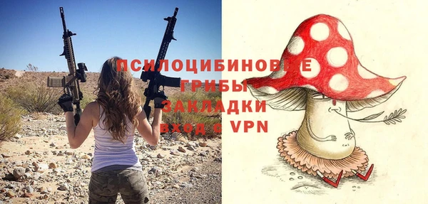 эйфоретик Арсеньев